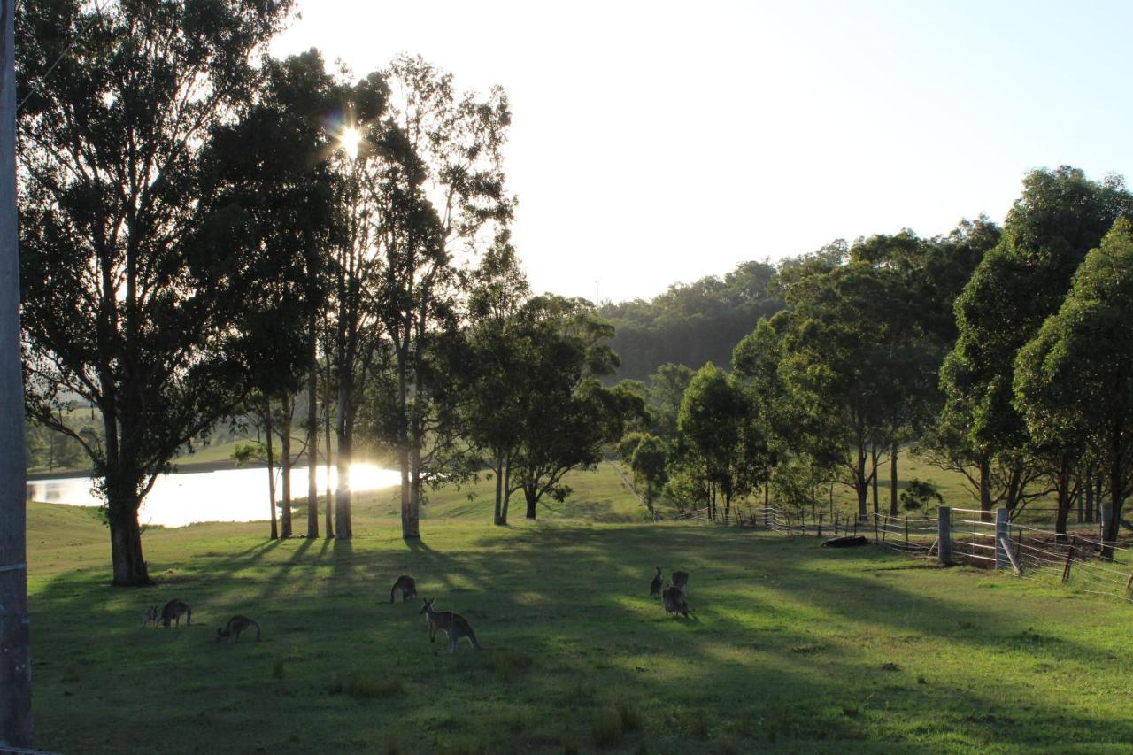 Hill Top Country Guest House Lovedale Exterior foto